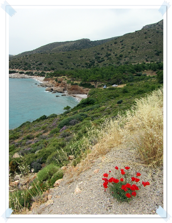 kahve falında dinazor yavrusu