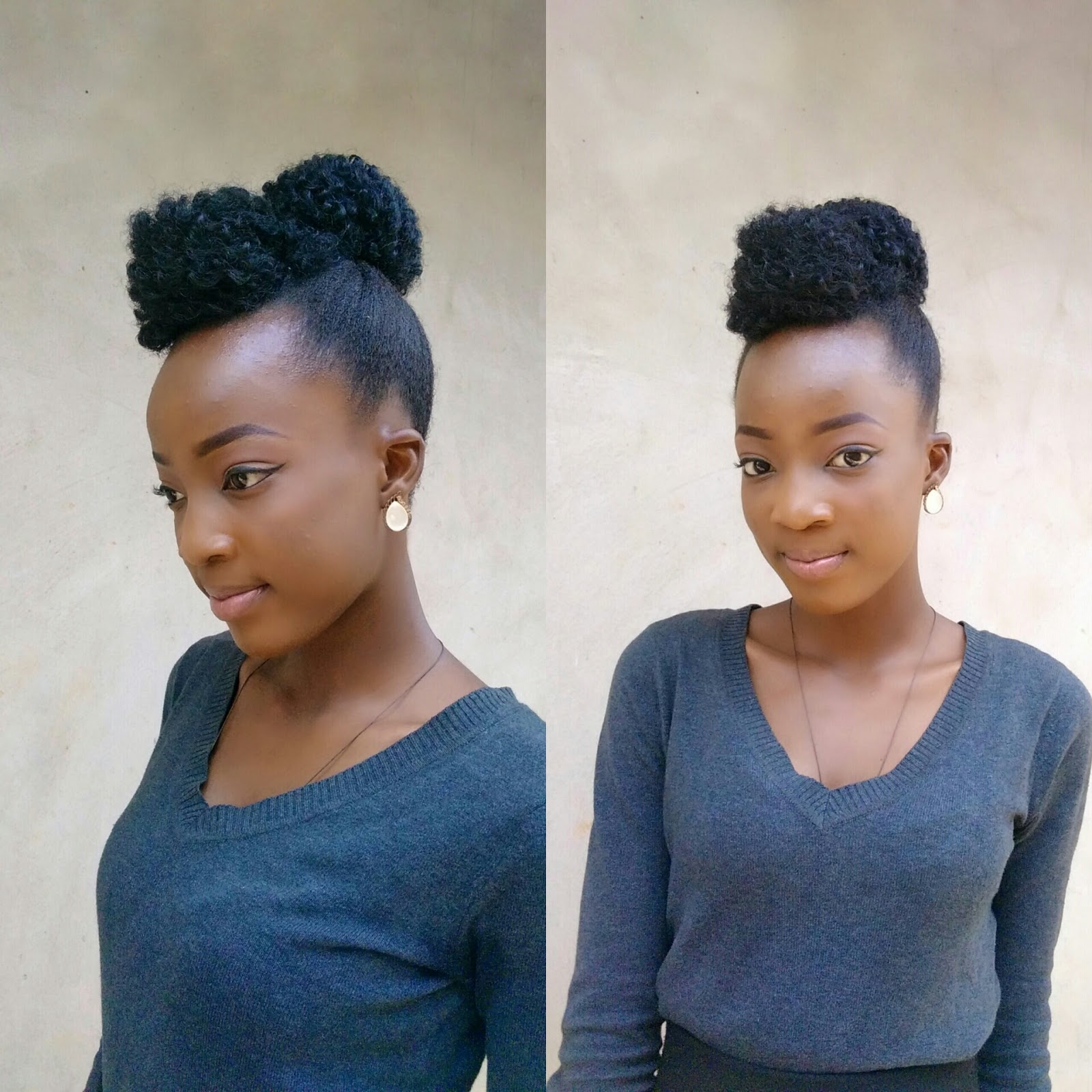Natural Hair Updo Style Hairven