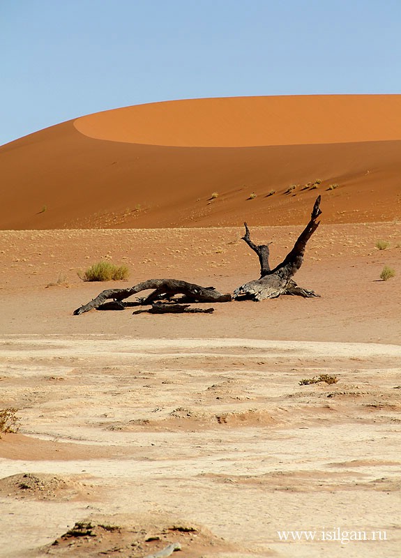 Соссусвлей. Пустыня Намиб. Намибия.