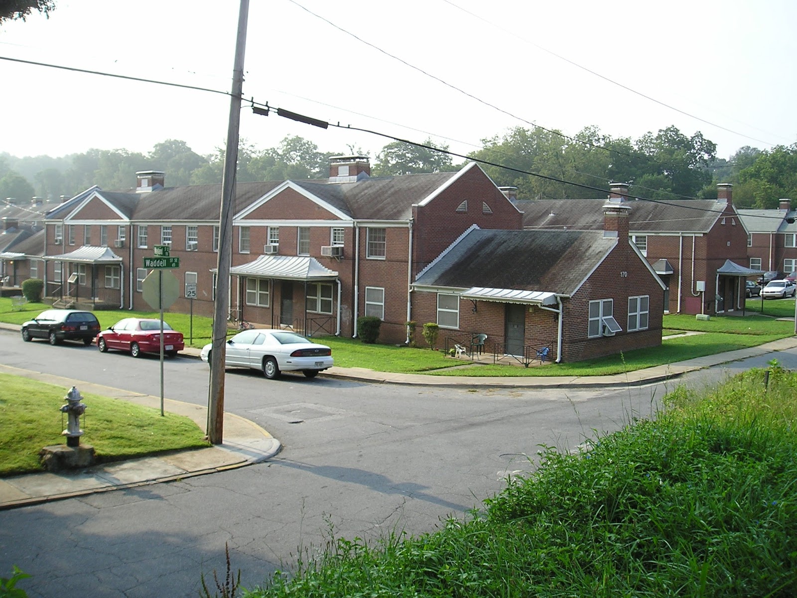 Chicken Fat Gentrification and the Runaway Tricycle