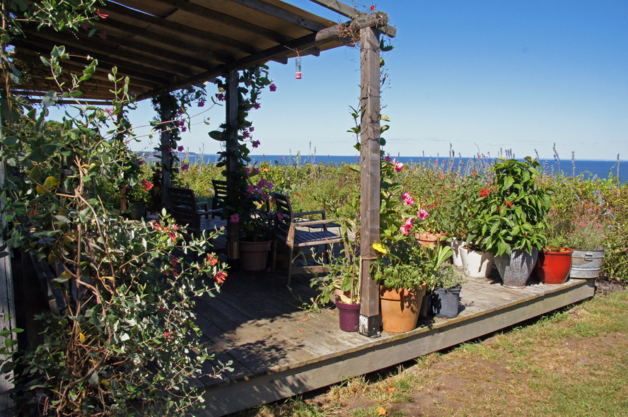 A Long Island Summer In Pictures THE BAITING HOLLOW HUMMINGBIRD SANCTUARY