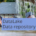 Here's to Know Data lake Vs Database