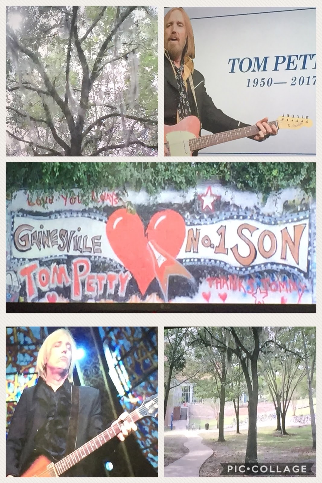 Suite T The Author's Blog Tom Petty, The Swamp and Branding