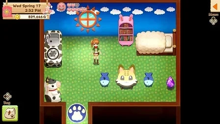 Harvest Moon: Light of Hope SE: The Details of the Doc's and Melanie's Special Episodes
