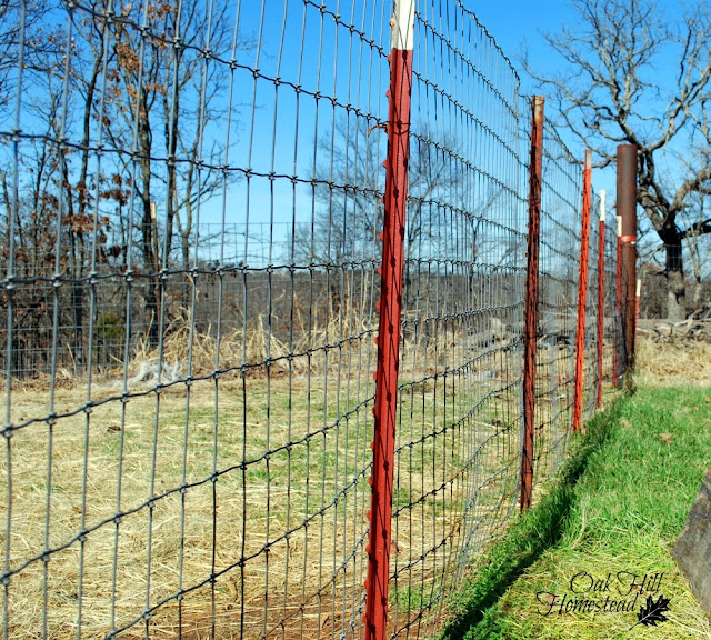 A woven wire fence attached to red t-posts with woods in the background.
