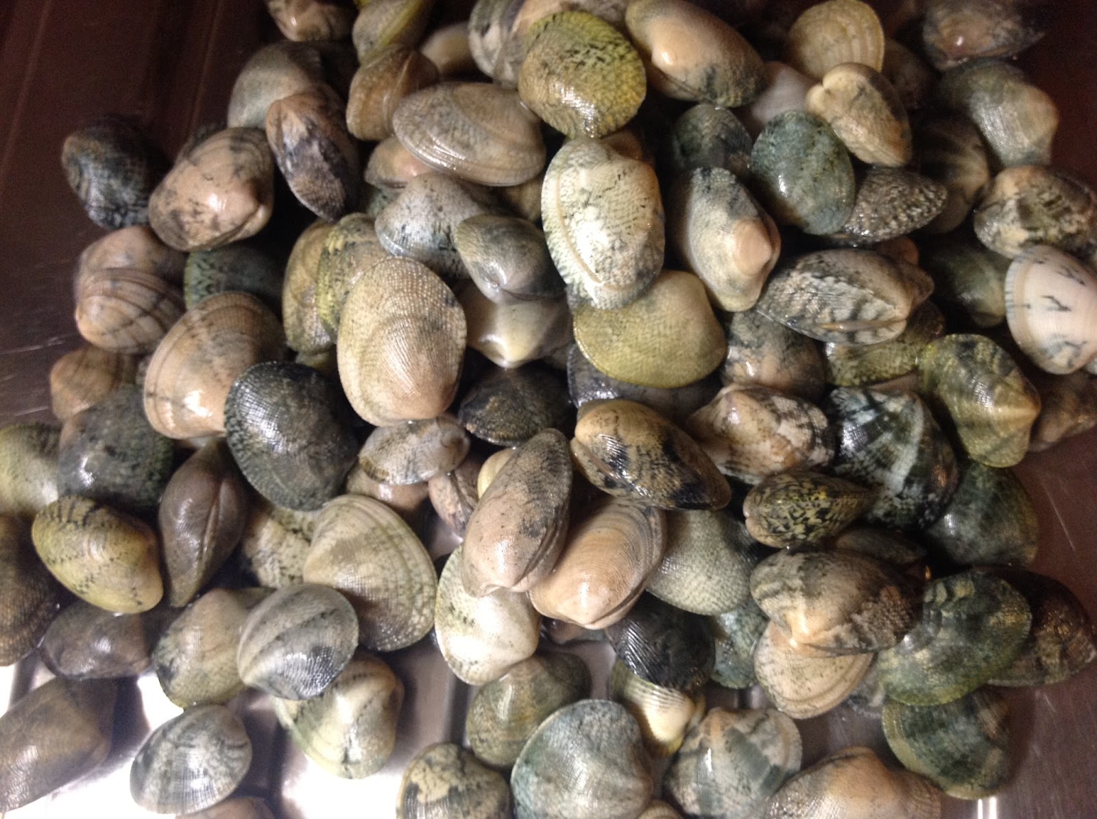 mangiaconrosa Souté di vongole mangiaconrosa Souté di vongole