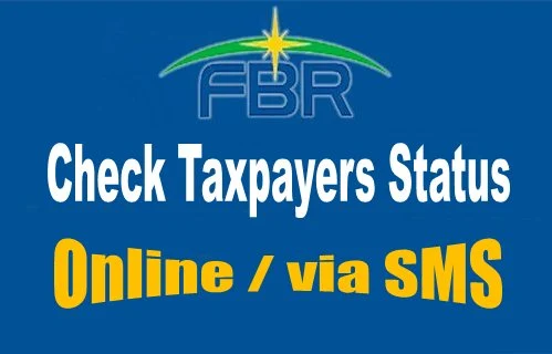 check-taxpayers-status