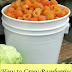 How to grow raspberries by the bucketful #Fruit_Gardening