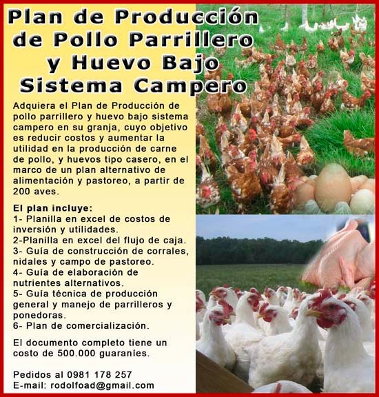 PARAGUAY AGRO: Plan de Inversión y Producción de pollo parrillero y huevo  bajo sistema campero
