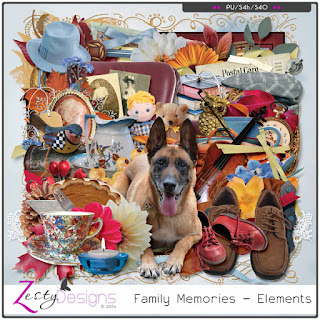 http://www.digitalscrapbookingstudio.com/collections/coordinated-collections/family/?features_hash=13-40