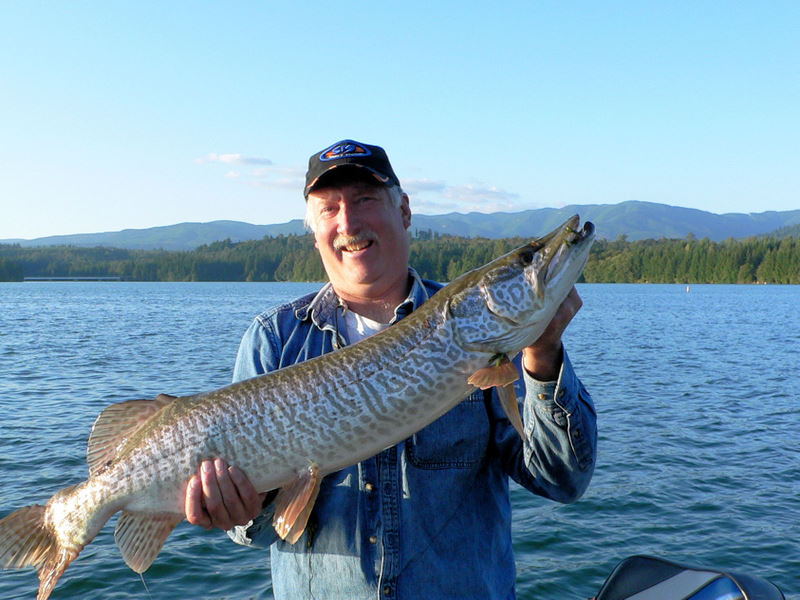 Unbelievable Catch: The Legendary Tiger Muskie That Shocked Anglers Forever