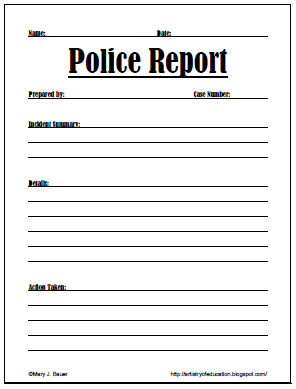 Type 3 Sample Report (Domestic Violence Report)