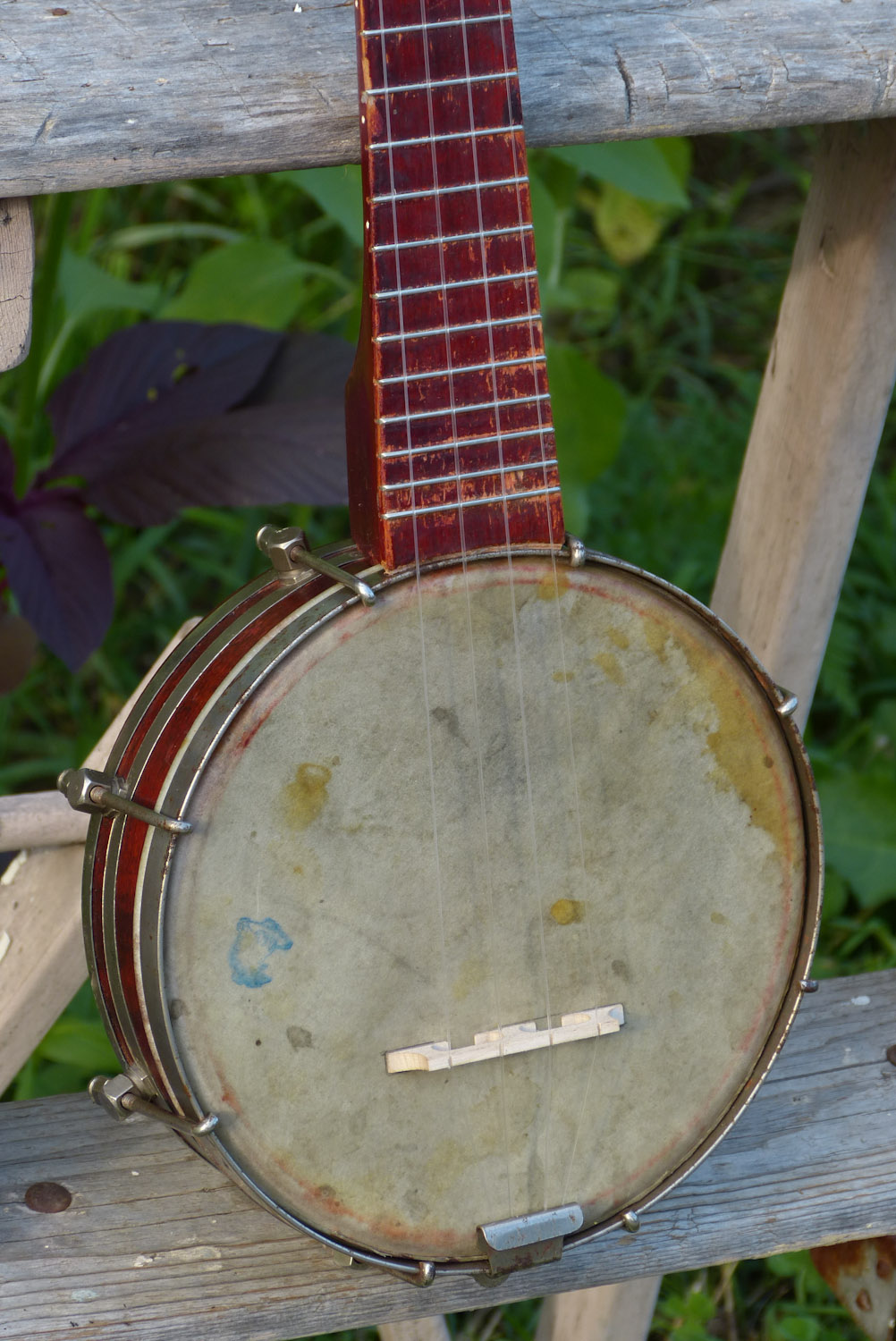 1920s Oscar Schmidt "Stella" Banjo Uke