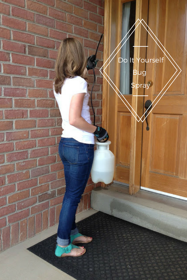 do it yourself divas: DIY: Bug Killer