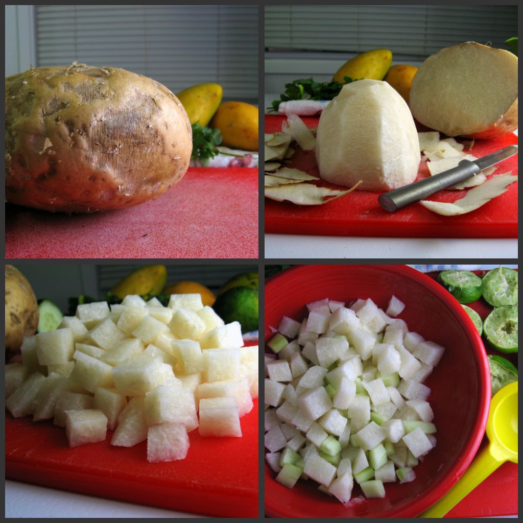 Robyn Cooks Cucumber, Jicama, and Fruit Salad