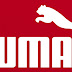 Puma lucra 176 milhões de euros até setembro de 2018