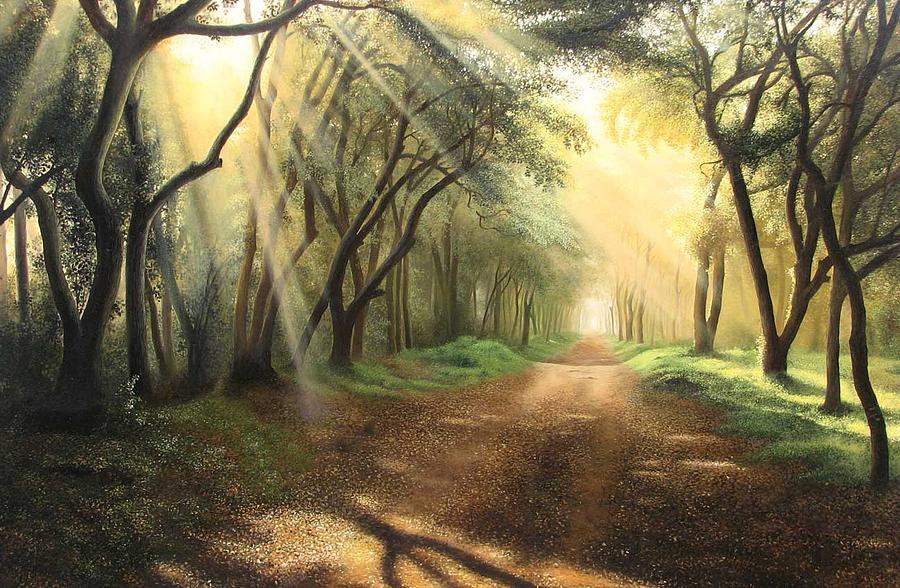 Seek Ye Diligently Lead Kindly Light