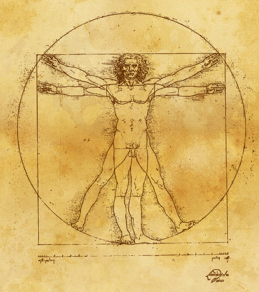 a critical response to vitruvius The author of what is thought to be the first book on architecture was a first century bce roman architect named marcus vitruvius a 21st century response to. a critical response to vitruvius The author of what is thought to be the first book on architecture was a first century bce roman architect named marcus vitruvius a 21st century response to.