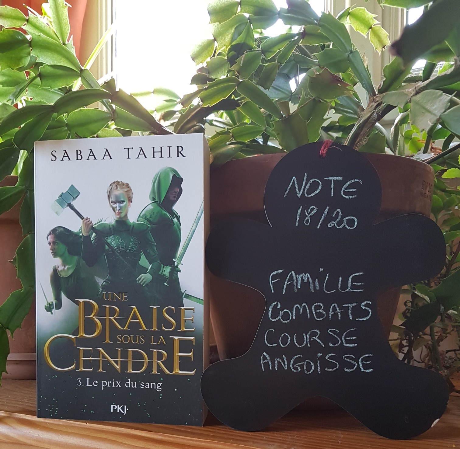 Une braise sous la cendre de Sabaa Tahir, tome 1 