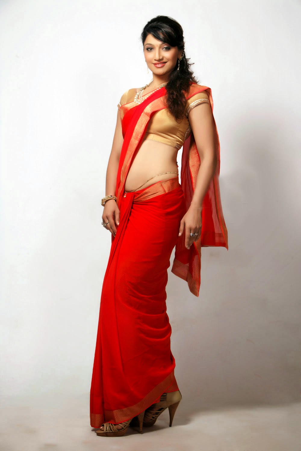 South Actress and Model Aakruti Nagpal Saree Stills