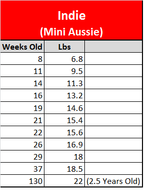 Mini Australian Shepherd Puppy Weight Chart