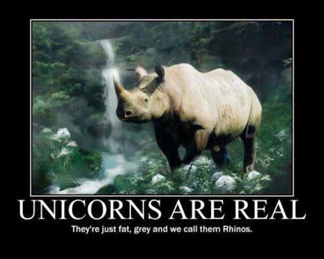 Unicorns are Real. they're just fat, grey and we call them Rhinos