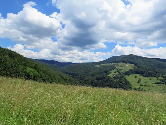 Dolina Potoku Życzanowskiego dolina
