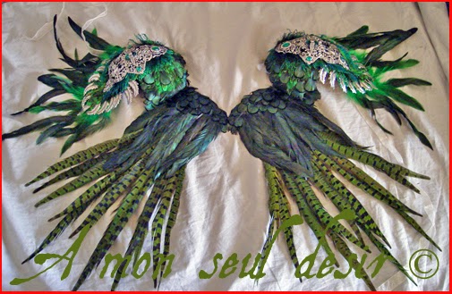 ailes plumes epaulettes feathers wings 