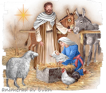 No natal se renova o amor familiar