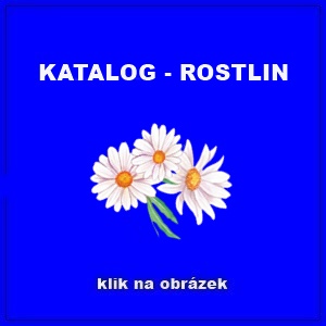 KATALOG - ROSTLIN