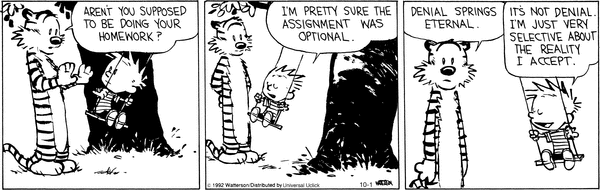 Calvin and hobbes essays