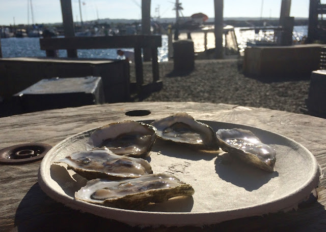 Oysters in Menemsha