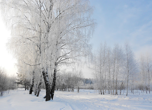 DSCN4523.jpg
