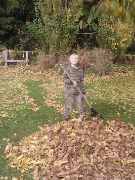 Autumn Clean Up