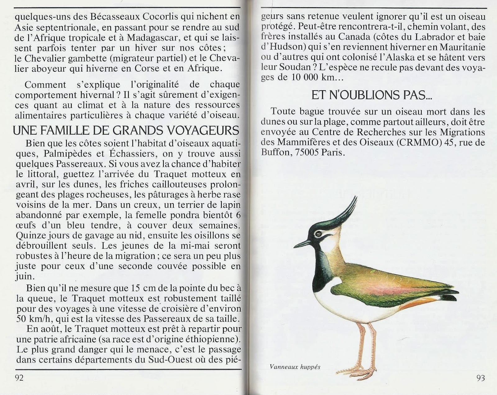 Leçons de choses: Au bord de la mer (grand format pour grand écran)