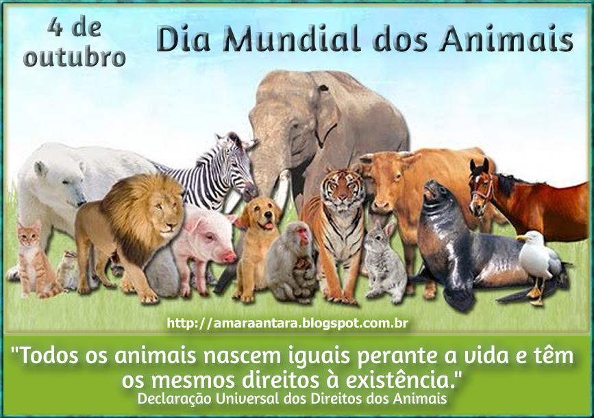 ANIMAIS AMEOS E OS DEIXE VIVER DECLARAÇÃO UNIVERSAL DOS DIREITOS DOS ANIMAIS ANIMAIS AMEOS E OS DEIXE VIVER DECLARAÇÃO UNIVERSAL DOS DIREITOS DOS ANIMAIS
