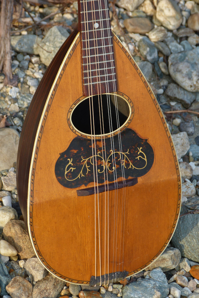 1890s Lyon & Healy Bowlback Mandolin