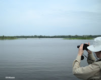 Amazon River Amazon River