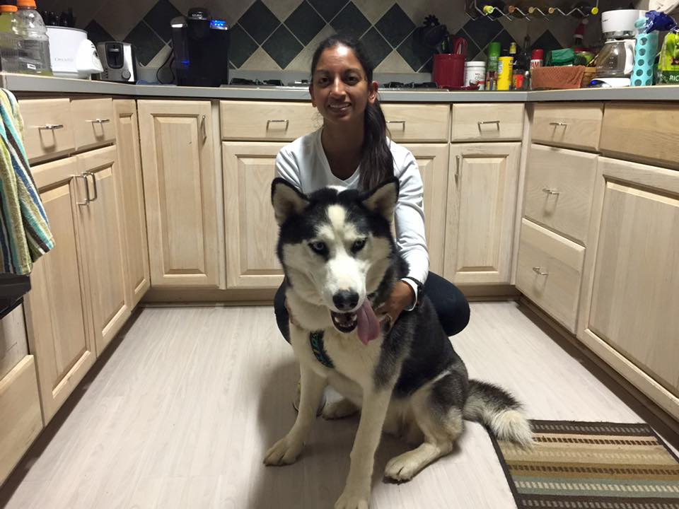 heartland husky rescue