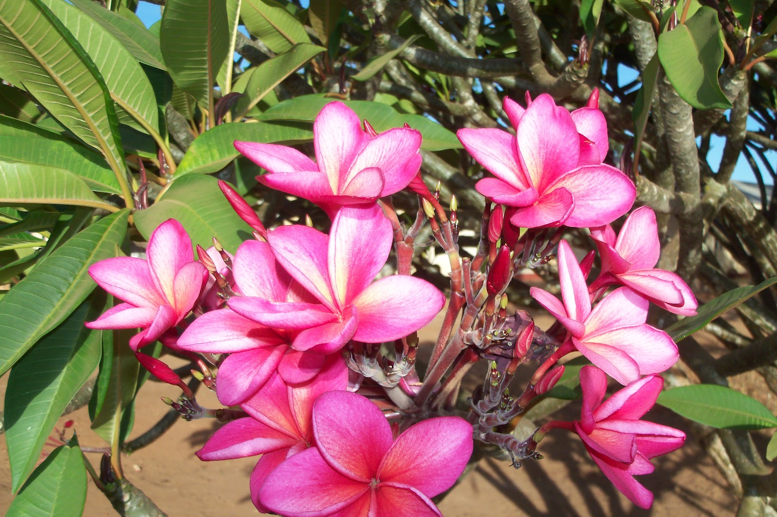 OffScript My Ugandan Vision Quest March 2012