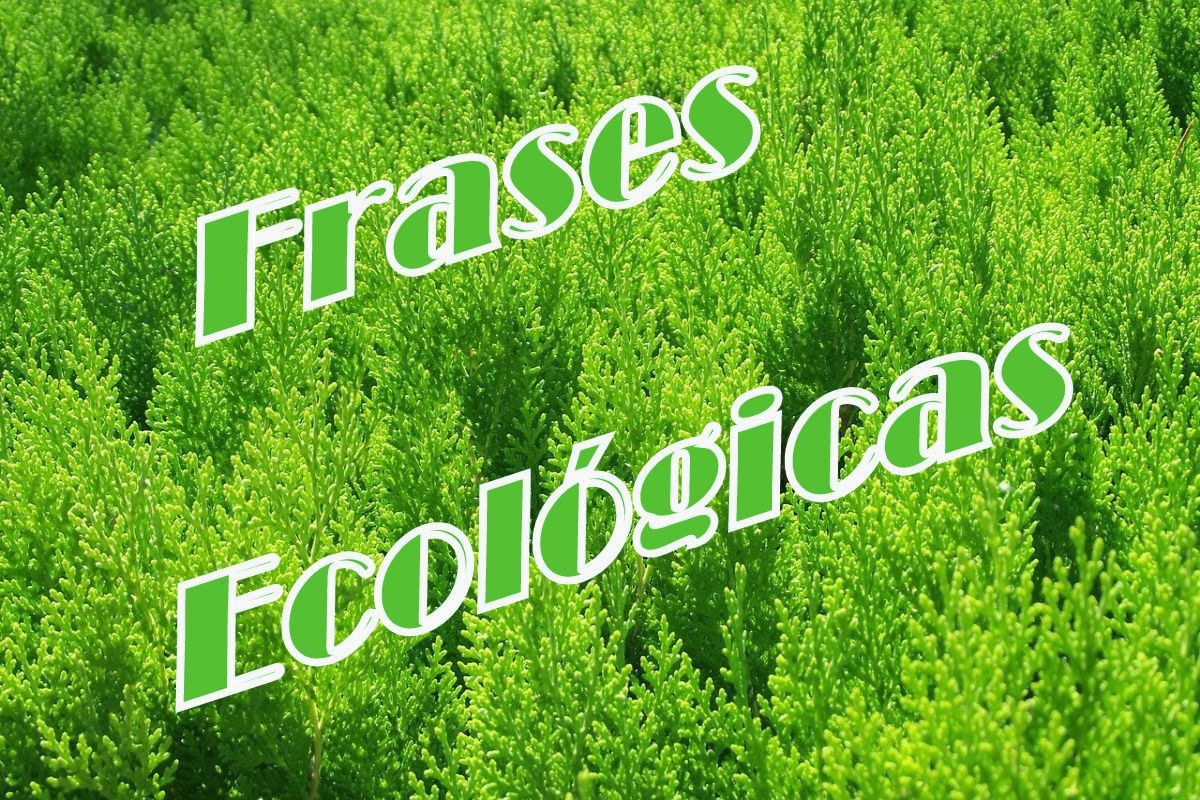 Frases ecológicas para reflexionar 2014 - Clima, Medio Ambiente y Tecnología