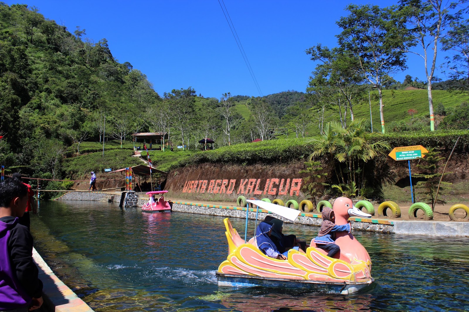 Agro Wisata Tuk Bening Kaligua | Plat-G Adventure