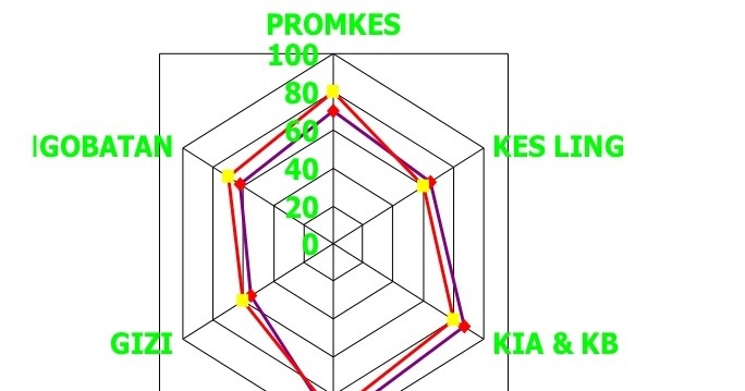 Pelaksanaan Penilaian Kinerja Puskesmas Mitra Kesmas