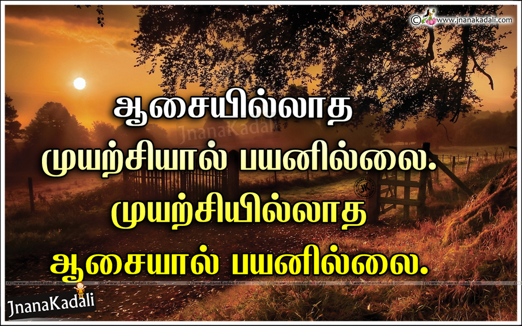 Tamil Quotes Wallpapers  Top Free Tamil Quotes Backgrounds   WallpaperAccess