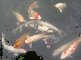 Unbelievable Facts, Unbelievable Pictures, Unbelievable News: Oldest