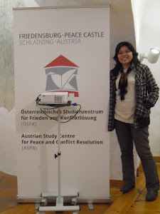 International Peace Building Training, Austria