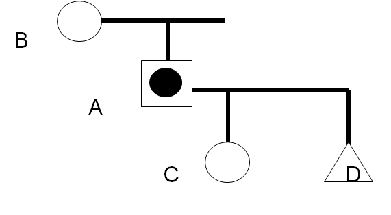 Mengapa Pelaksanaan Ham Harus Beriringan Dengan Kewajiban Asasi Manusia