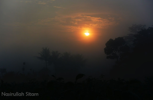 Mentari pagi terselimuti kabut di Temanggung