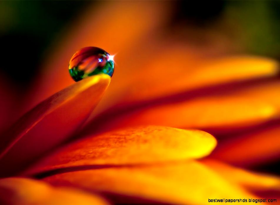 Beauty Wallpaper Collection 35