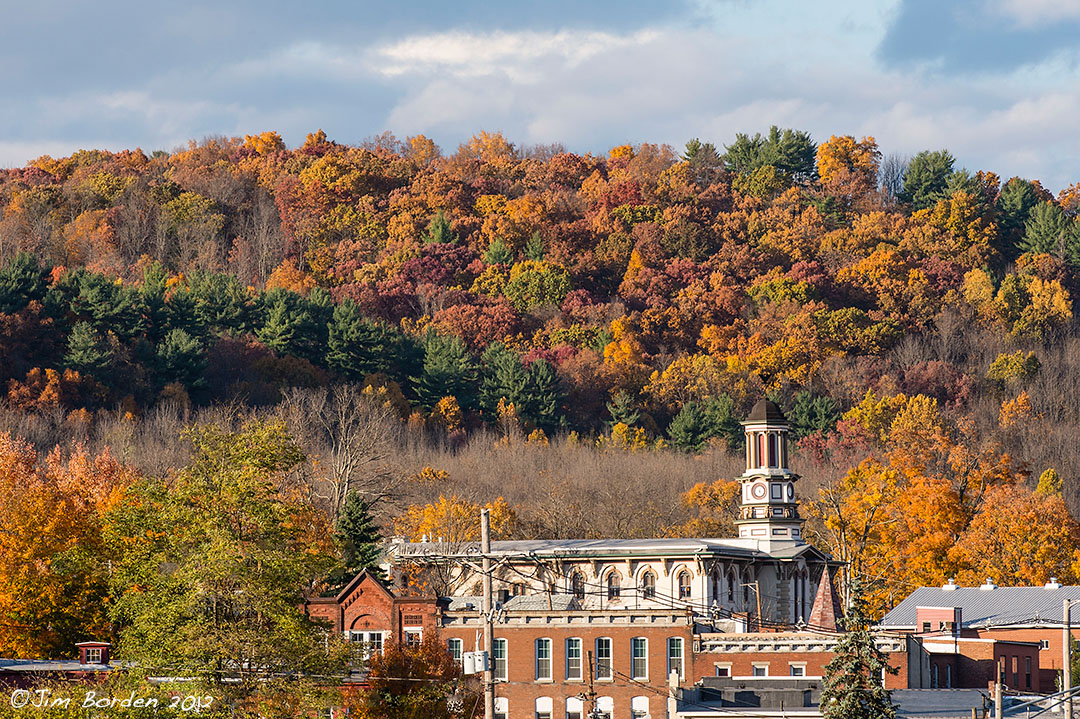 JJ Wildlife Photography Tunkhannock PA